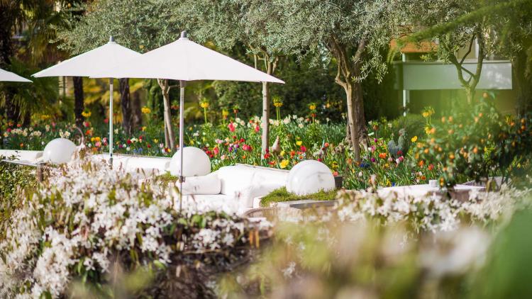 Oase im Grünen - Park Hotel Mignon 